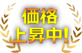 価格上昇中!
